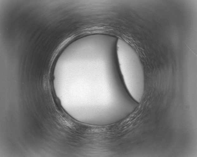X0000056360147200508260955
