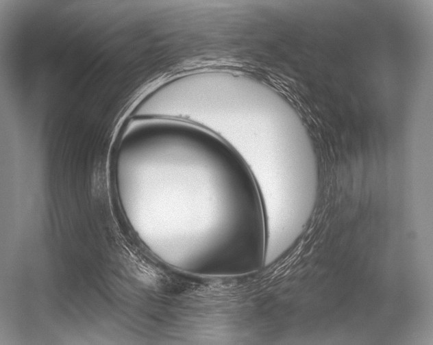 X0000056360148200508260955