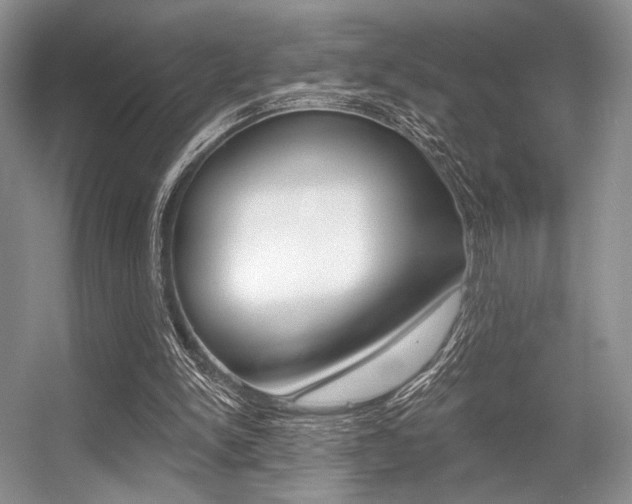 X0000056360150200508260955
