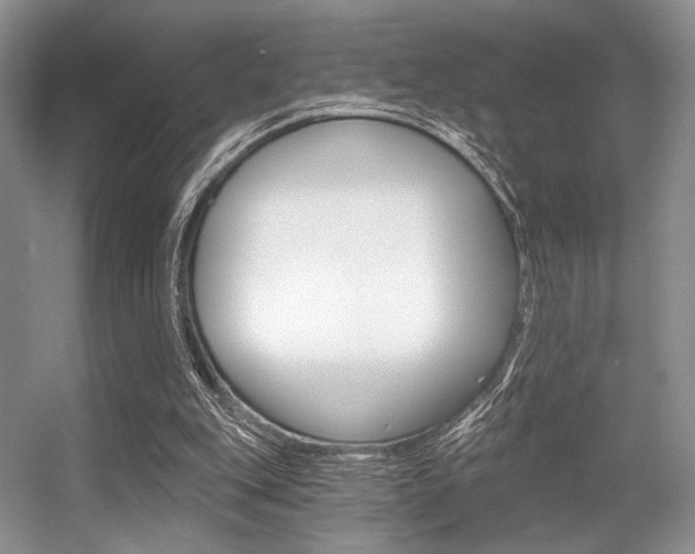 X0000056360151200508260955