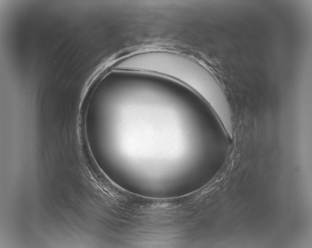 X0000056360152200508260955