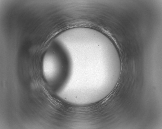 X0000056360154200508260955
