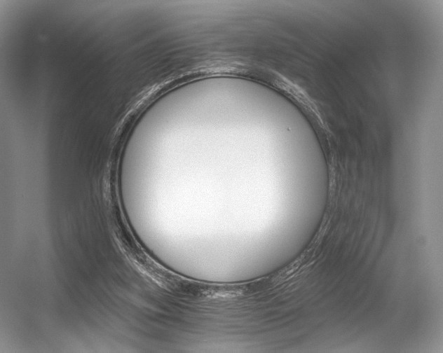 X0000056360155200508260955