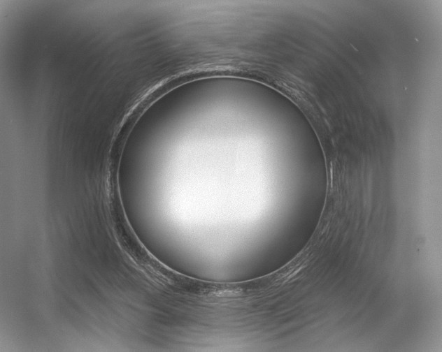 X0000056360156200508260955
