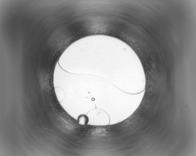 X0000056360162200508260955