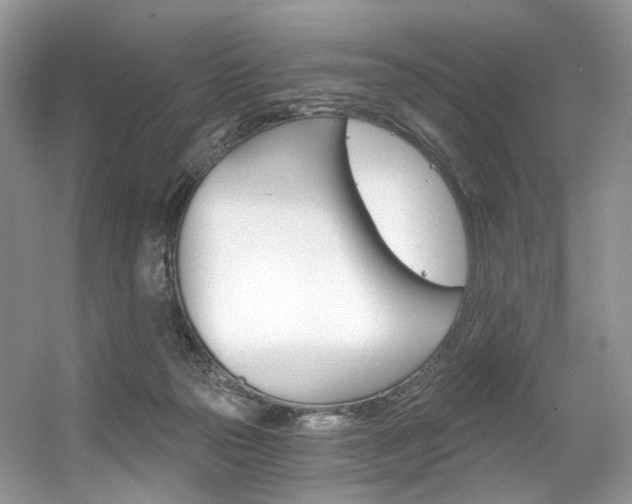 X0000056360169200508260955