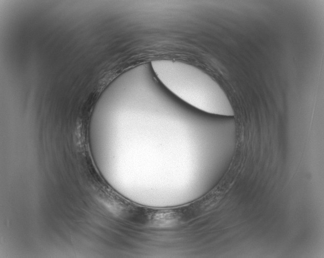 X0000056360173200508260955