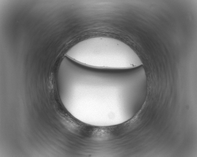 X0000056360174200508260955
