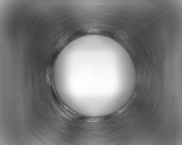 X0000056360175200508260955
