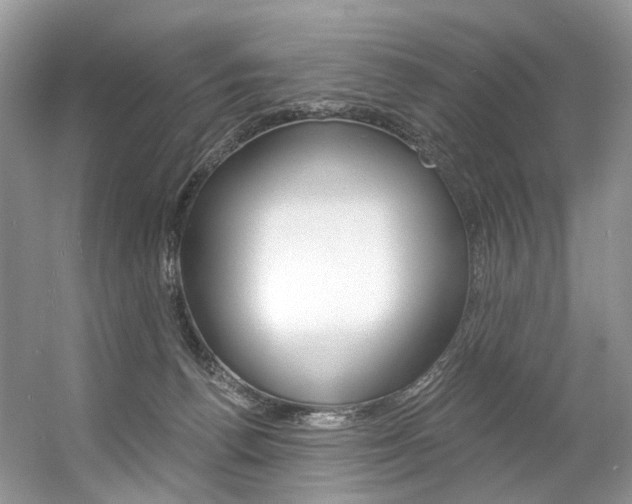 X0000056360176200508260955