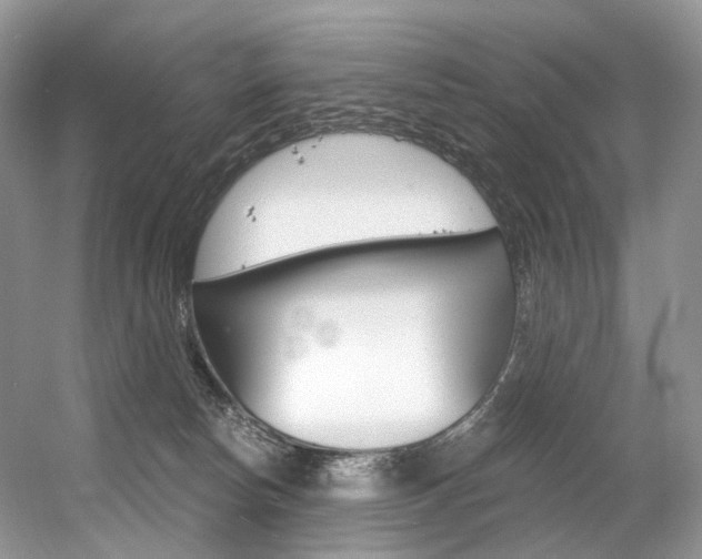 X0000056360178200508260955