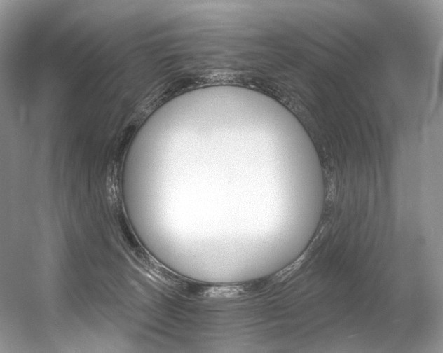 X0000056360179200508260955