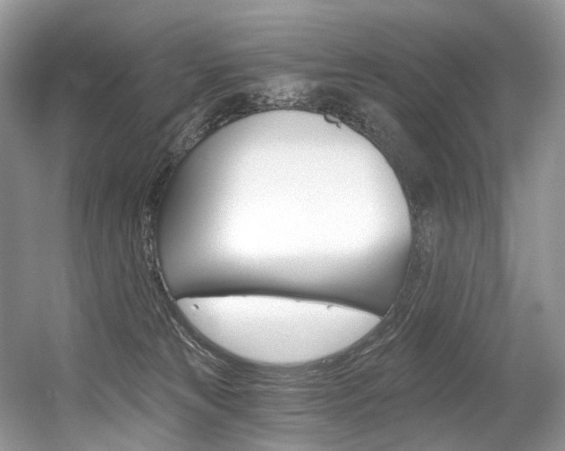 X0000056360181200508260955