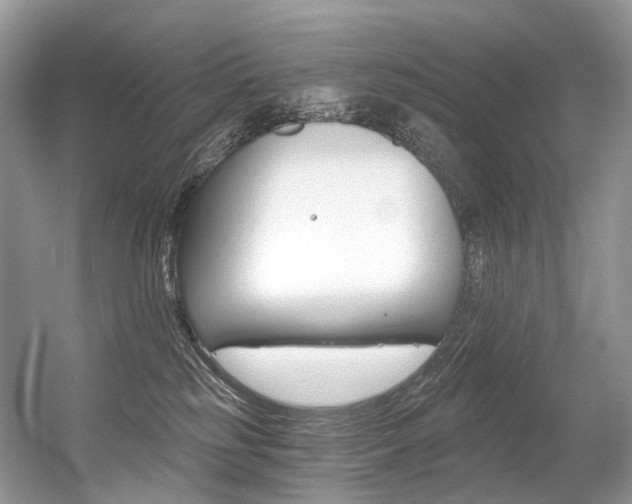 X0000056360185200508260955