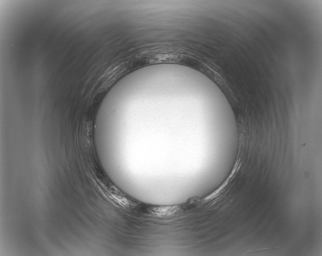 X0000056360191200508260956