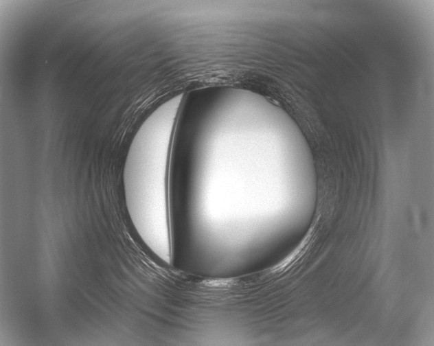 X0000056360192200508260956