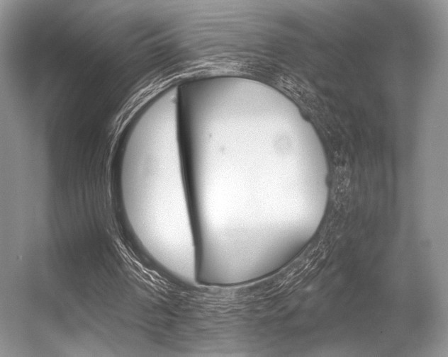 X0000056360194200508260955