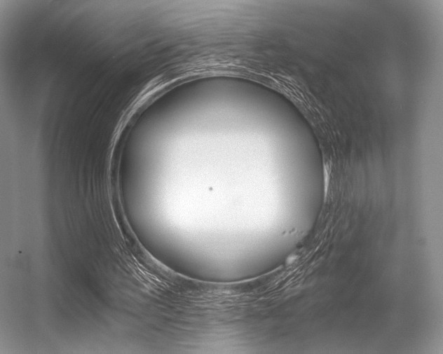 X0000056360195200508260955