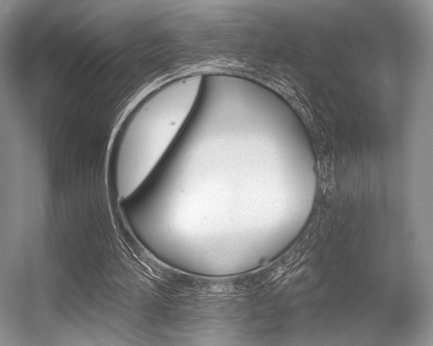 X0000056360196200508260955
