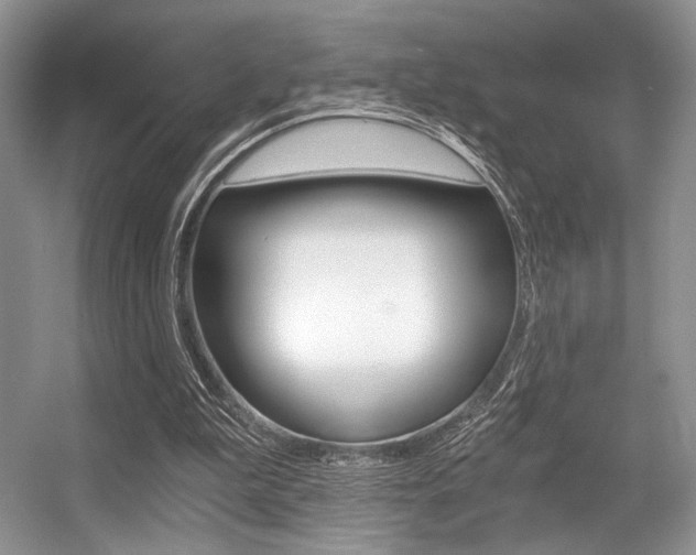 X0000056360199200508260955