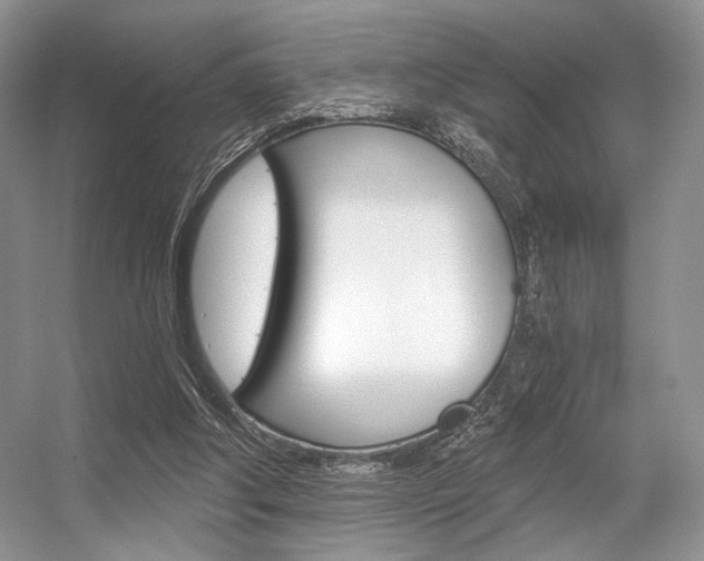 X0000056360202200508260955