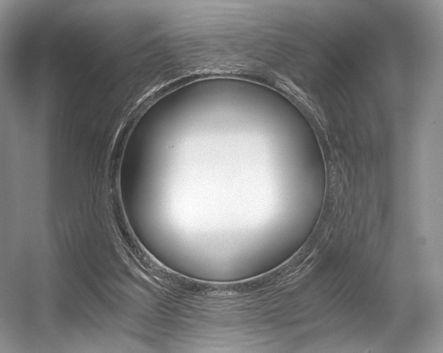 X0000056360203200508260955
