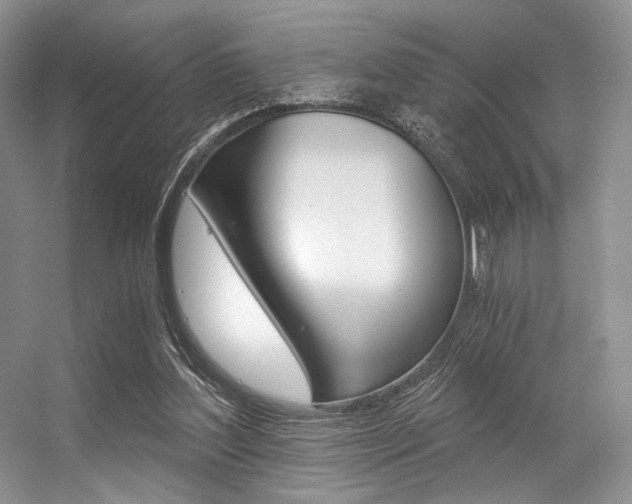 X0000056360204200508260955