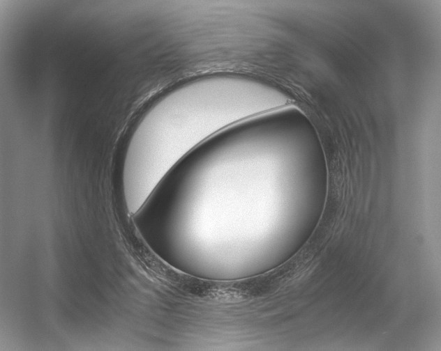 X0000056360207200508260955