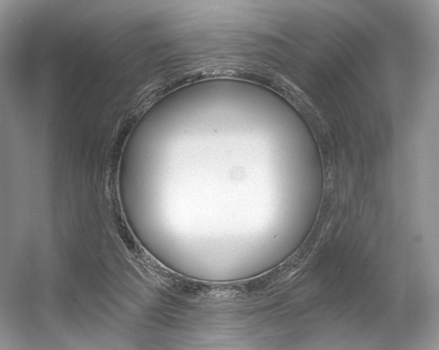X0000056360209200508260955
