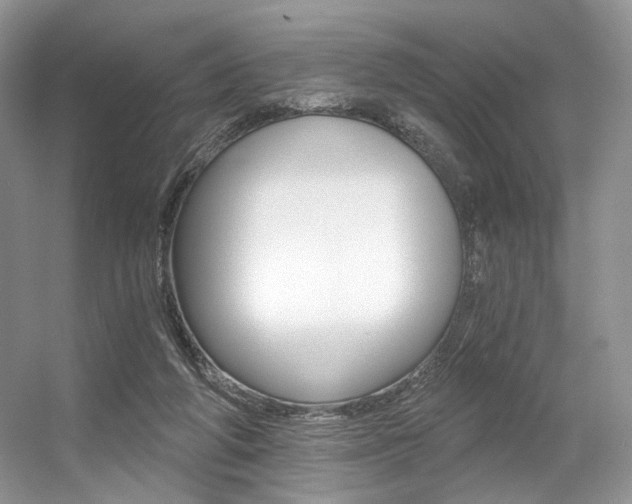 X0000056360210200508260954
