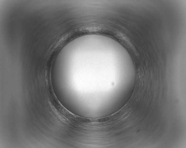 X0000056360212200508260954