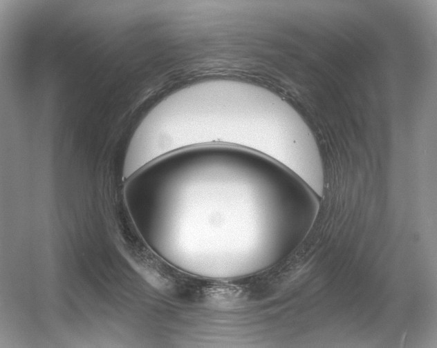X0000056360215200508260954