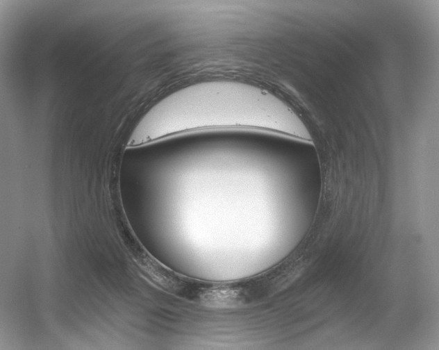 X0000056360217200508260954