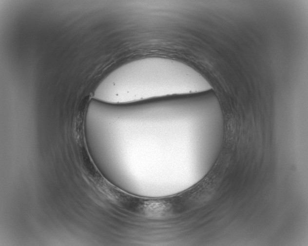 X0000056360218200508260954