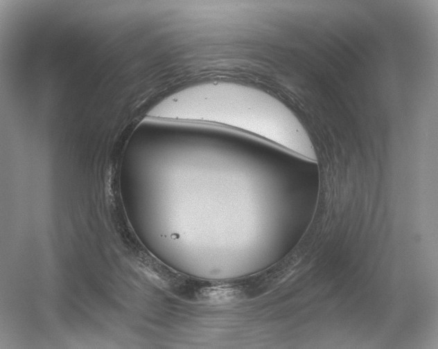 X0000056360219200508260954
