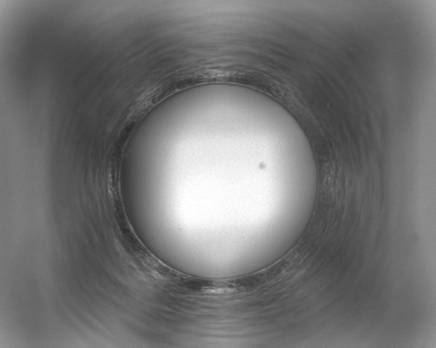 X0000056360220200508260954
