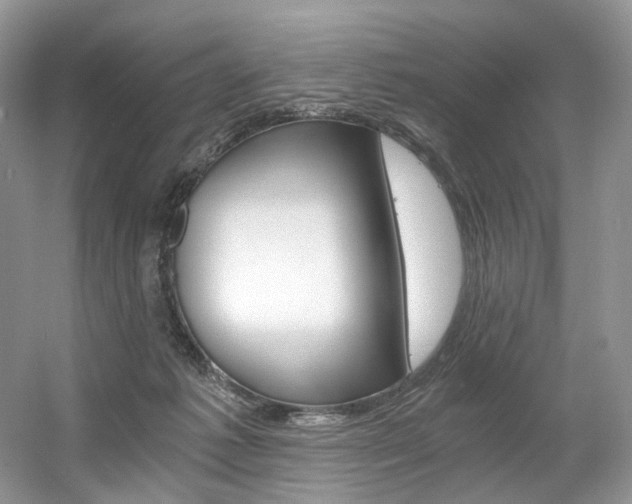 X0000056360221200508260954