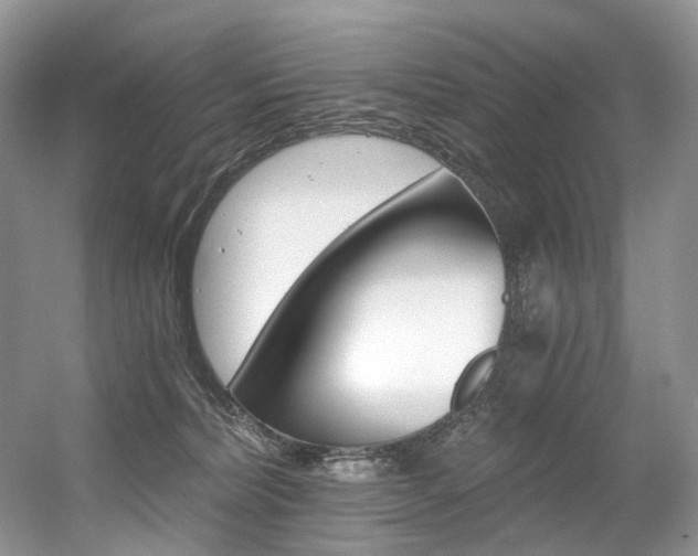 X0000056360228200508260954