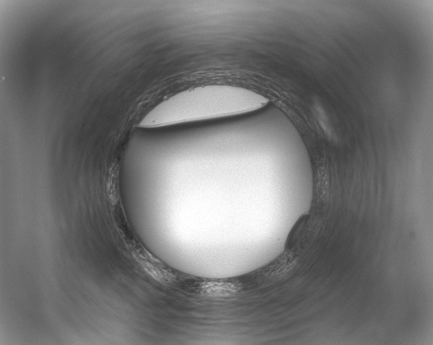 X0000056360234200508260954