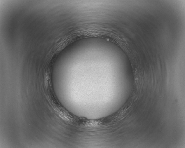 X0000056360235200508260954