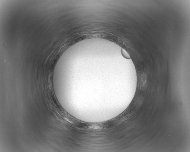 X0000056360236200508260954