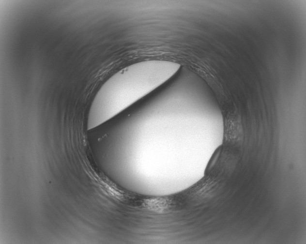 X0000056360238200508260954