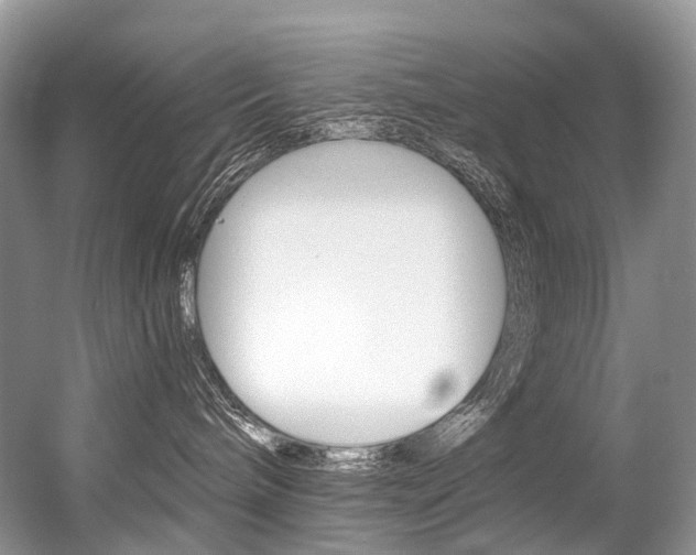 X0000056360240200508260954