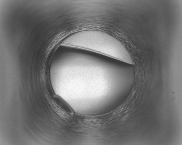 X0000056360242200508260953