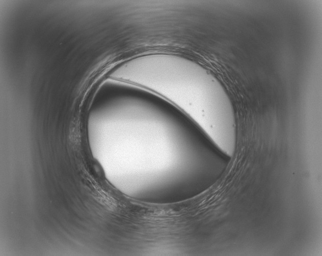 X0000056360243200508260953