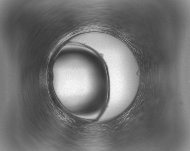 X0000056360244200508260953