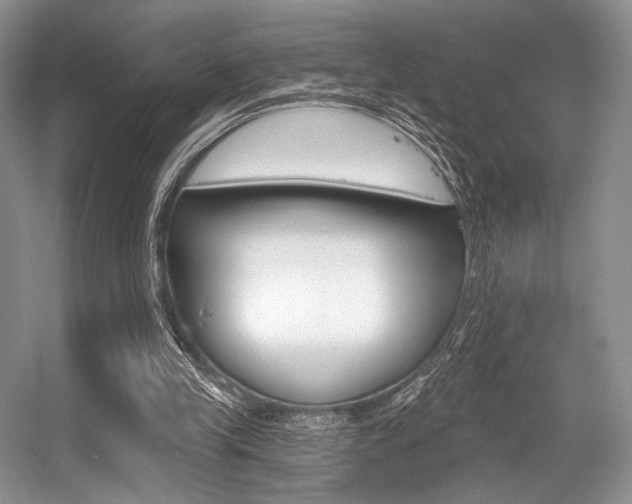 X0000056360245200508260953