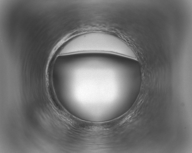 X0000056360246200508260953