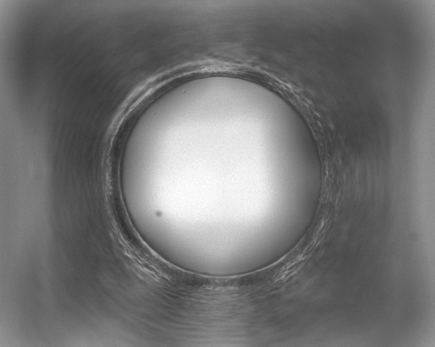 X0000056360247200508260953
