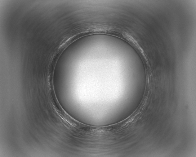 X0000056360249200508260953